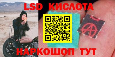 гидропоника Кунгур