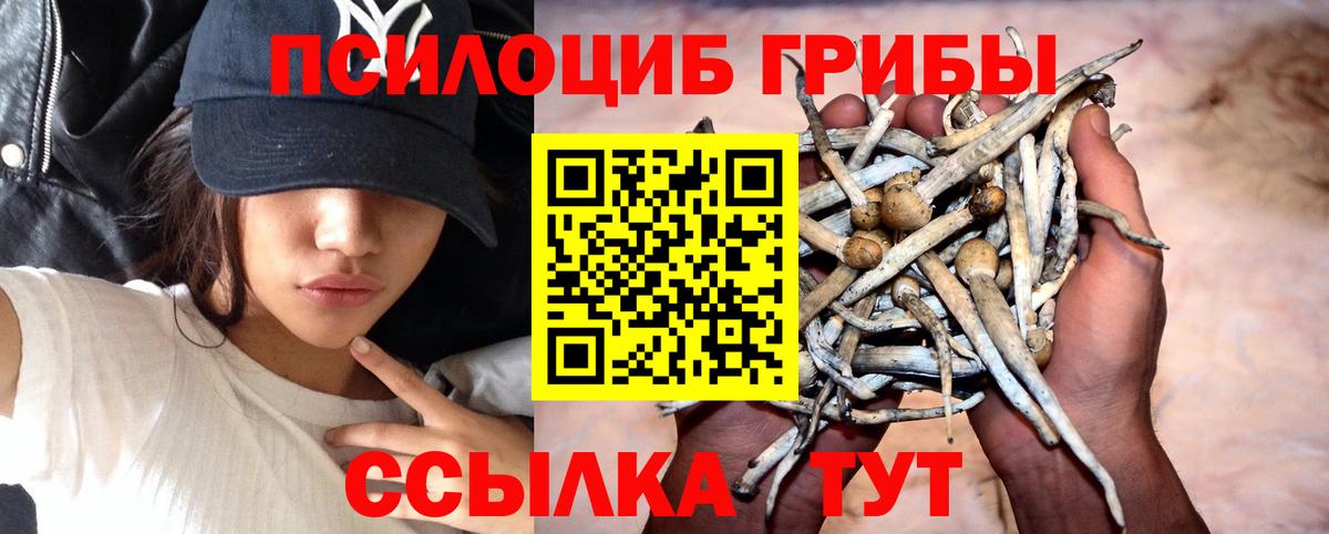 Галлюциногенные грибы прущие грибы  Псилоцибиновые грибы мухоморы  Гусев  Вход с VPN 